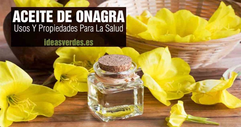 Aceite De Onagra Beneficios Y Propiedades Para La Salud Ideas Verdes