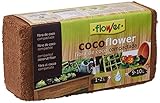 Flower - Sustrato de Coco 100% Natural | Ideal para Terrario...