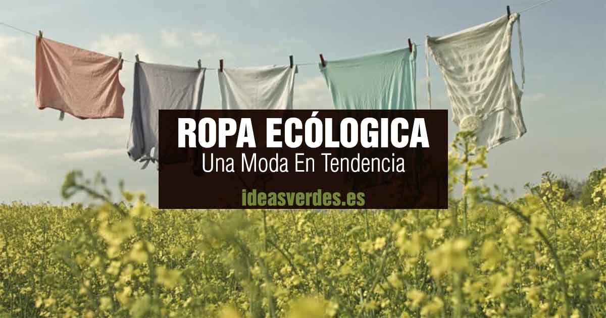 La Moda De La Ropa Ecológica Ideas Verdes 