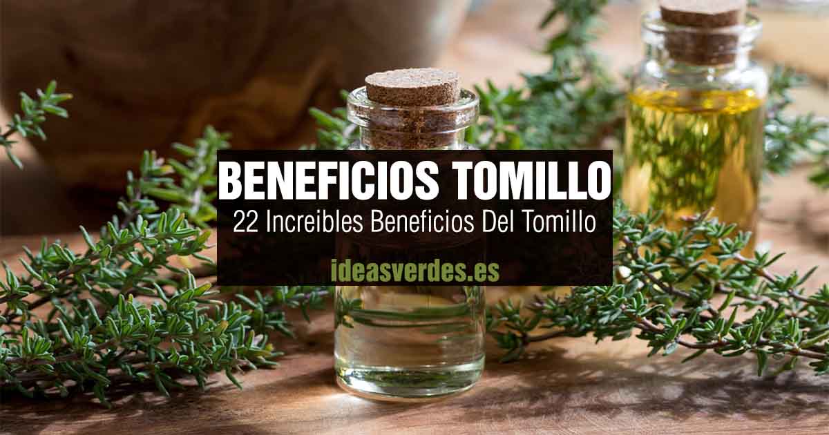 propiedades del tomillo