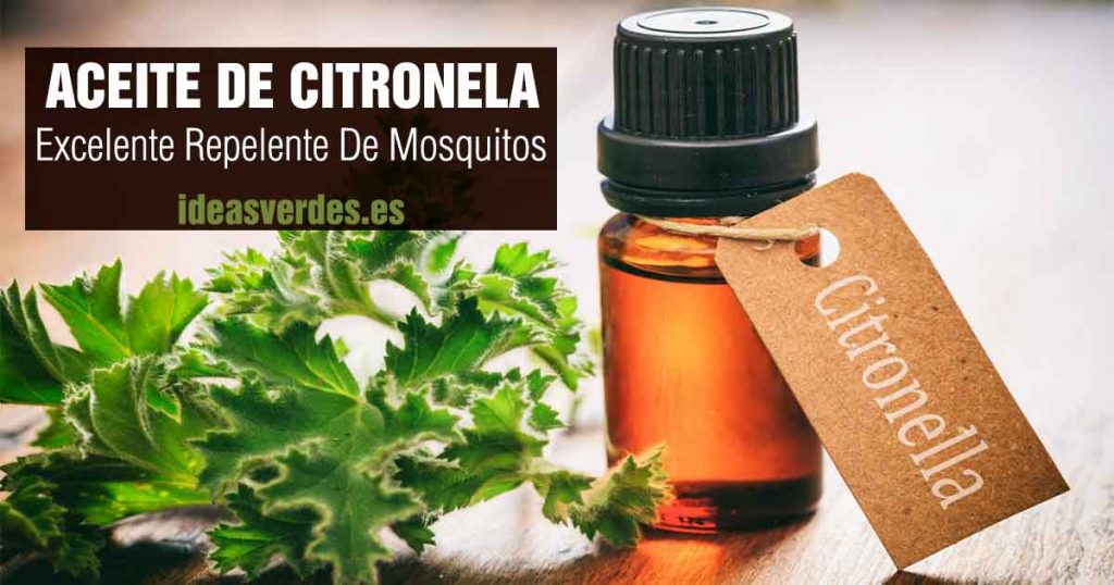Aceite De Citronela Usos Y Propiedades Repelente De Mosquitos Ideas