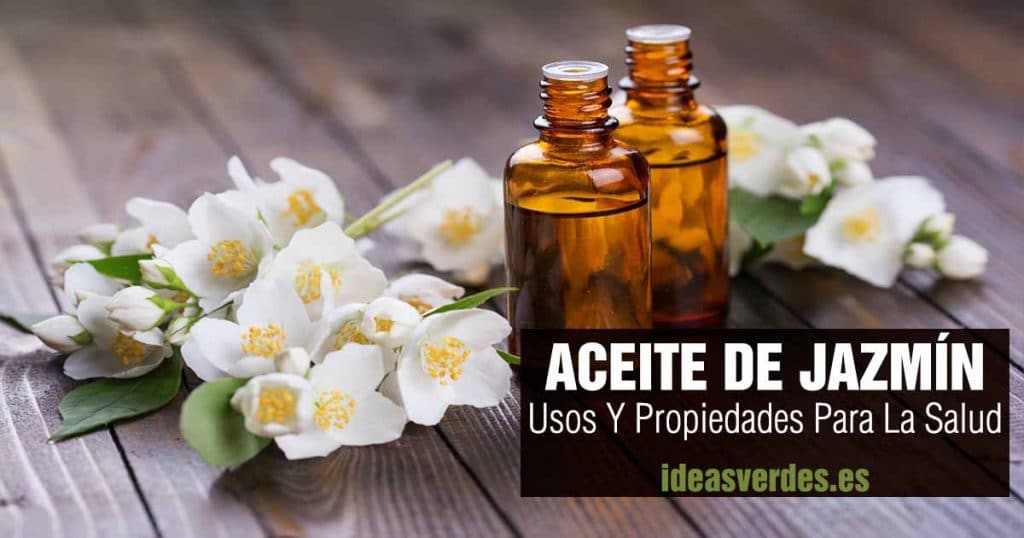 Aceite De Jazmín Para El Cabello Y Mas Propiedades - Ideas Verdes